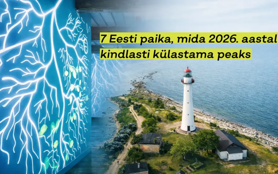 Tuletorn kivisel rannikul õhust
